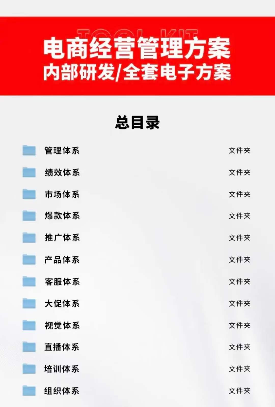 外面卖198·电商企业经营管理工具：全套执行落地方案 标准模块·直接套用