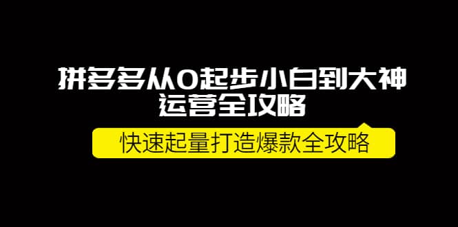 拼多多从0起步小白到大神运营全攻略