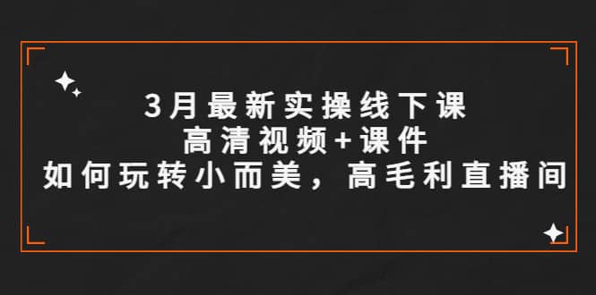 3月最新实操线下课高清视频+课件，如何玩转小而美，高毛利直播间