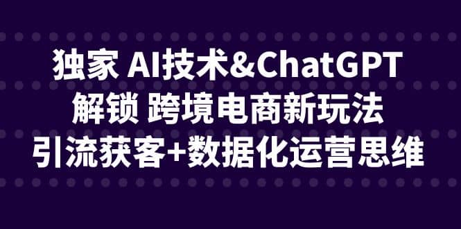 独家 AI技术ChatGPT解锁 跨境电商新玩法，引流获客+数据化运营思维