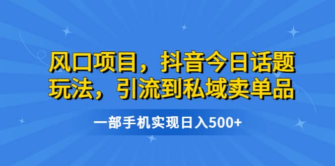 风口项目，抖音今日话题玩法，引流到私域卖单品，一部手机实现日入500+