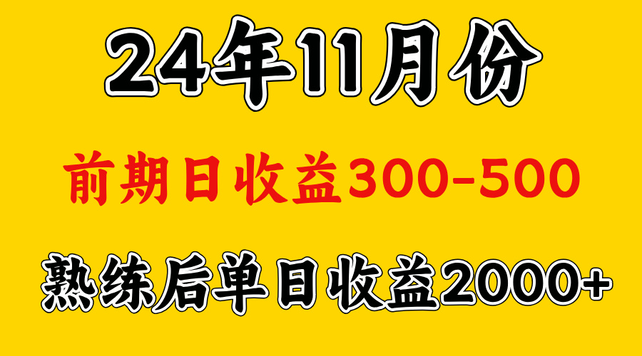 轻资产项目，前期日收益500左右，后期日收益1500-2000左右，多劳多得