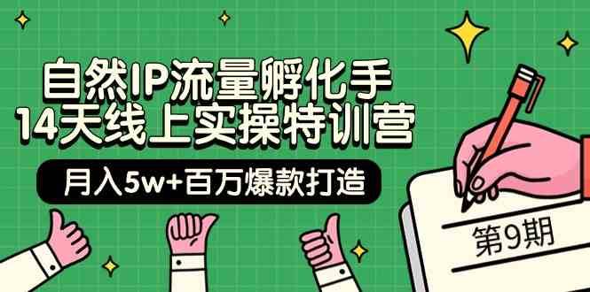 自然IP流量孵化手14天线上实操特训营【第9期】月入5w+百万爆款打造 (74节)