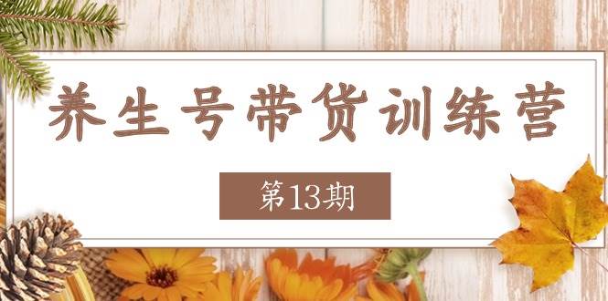 养生号带货训练营【第13期】收益更稳定的玩法，让你带货收益爆炸