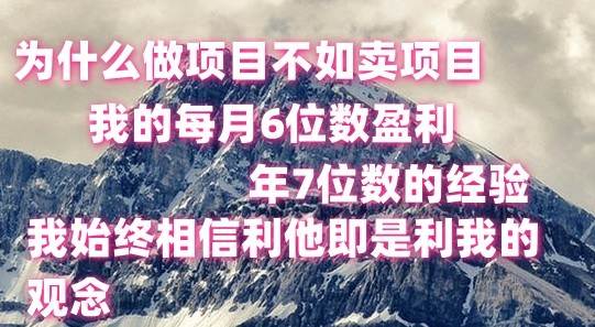 做项目不如卖项目，每月6位数盈利，年7位数经验