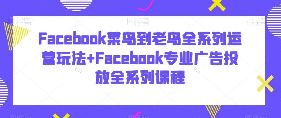 Facebook菜鸟到老鸟全系列运营玩法+Facebook专业广告投放全系列课程