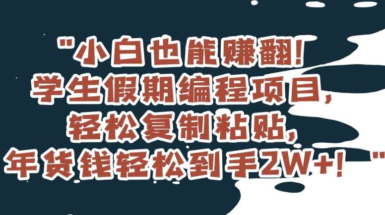 小白也能赚翻！学生假期编程项目，轻松复制粘贴，年货钱轻松到手2W+【揭秘】