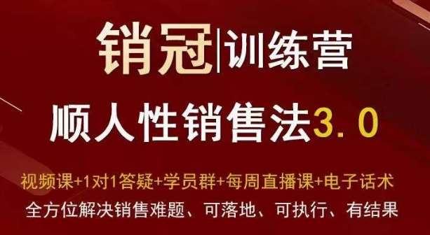 爆款！销冠训练营3.0之顺人性销售法，全方位解决销售难题、可落地、可执行、有结果