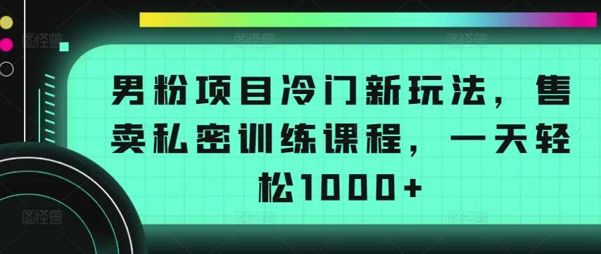 男粉项目冷门新玩法，售卖私密训练课程，一天轻松1000+【揭秘】