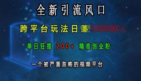 全新引流风口，跨平台玩法日入上k，单日狂揽200+精准创业粉，一个被严重忽略的视频平台