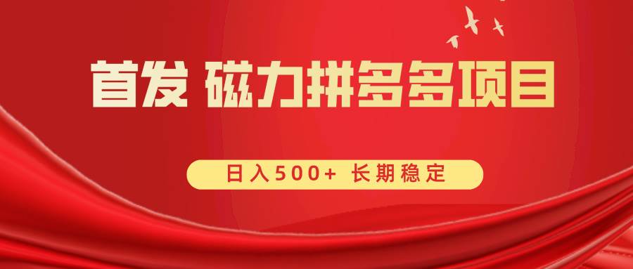 （8611期）首发 磁力拼多多自撸  日入500+