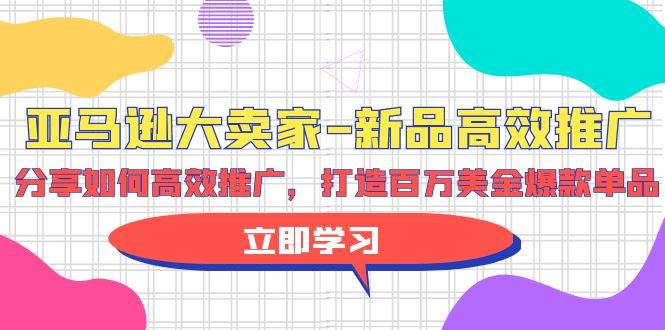 （9945期）亚马逊 大卖家-新品高效推广，分享如何高效推广，打造百万美金爆款单品