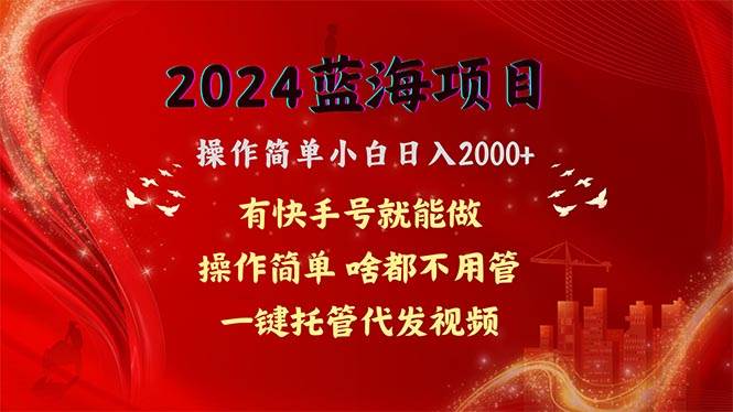 （10693期）2024蓝海项目，网盘拉新，操作简单小白日入2000+，一键托管代发视频，…