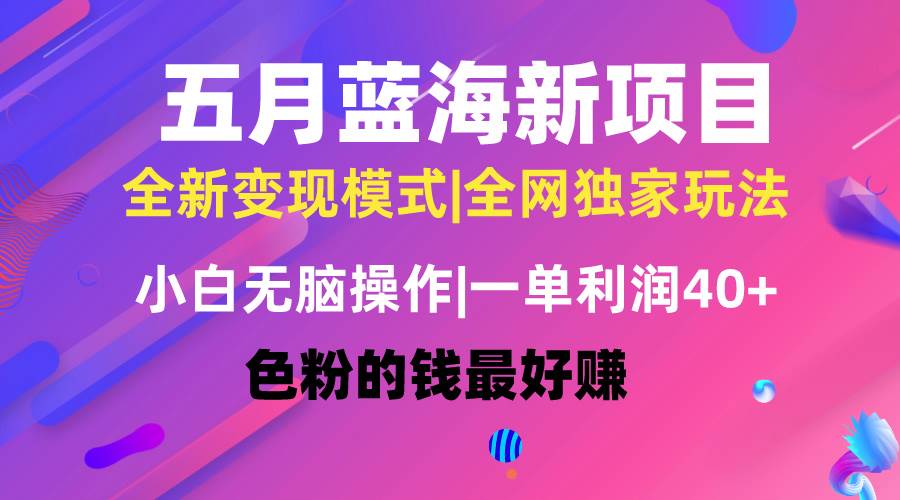 （10477期）五月蓝海项目全新玩法，小白无脑操作，一天几分钟，矩阵操作，月入4万+