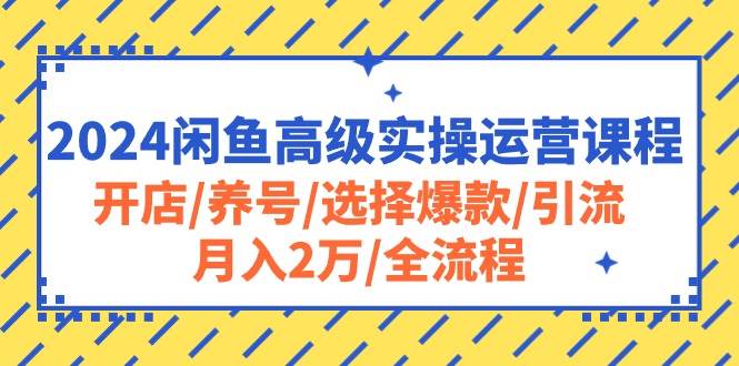 （10711期）2024闲鱼高级实操运营课程：开店/养号/选择爆款/引流/月入2万/全流程