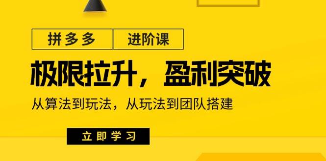 （11435期）拼多多·进阶课：极限拉升/盈利突破：从算法到玩法 从玩法到团队搭建-18节