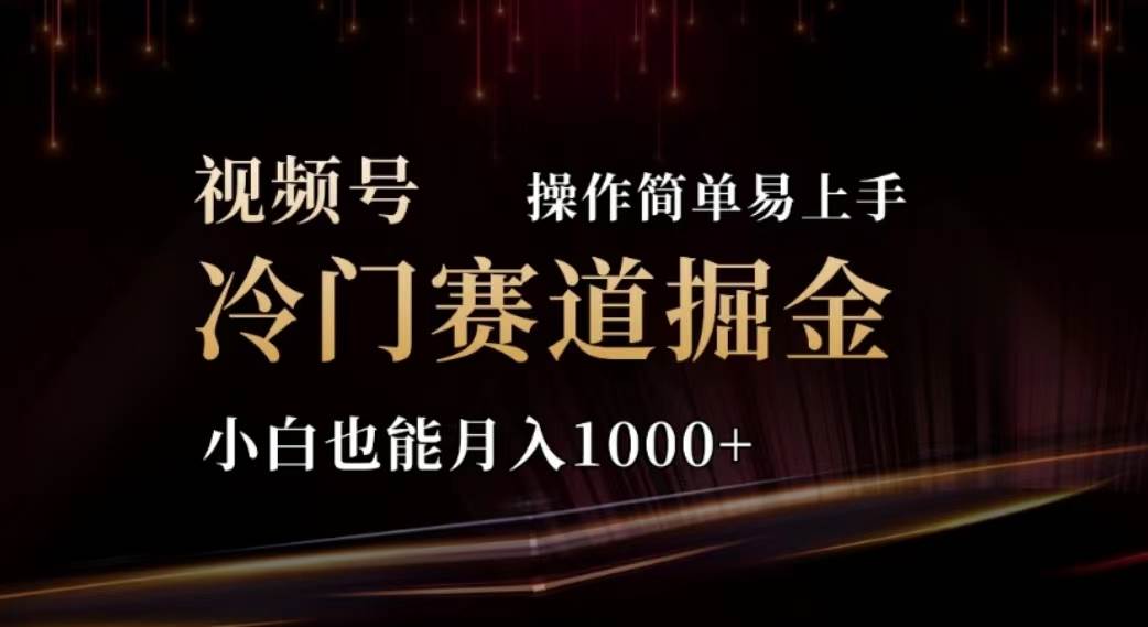 （11378期）2024视频号冷门赛道掘金，操作简单轻松上手，小白也能月入1000+