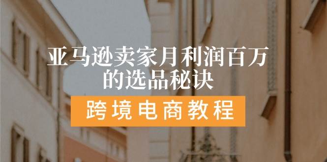 （11456期）亚马逊卖家月利润百万的选品秘诀:  抓重点/高利润/大方向/大类目/选品…