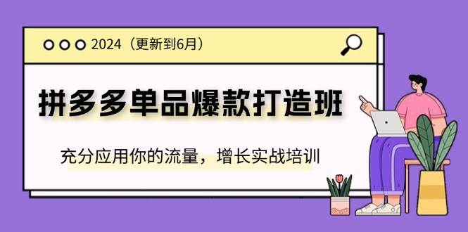 （11556期）2024拼多多-单品爆款打造班(更新6月)，充分应用你的流量，增长实战培训