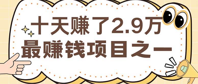 （12491期）闲鱼小红书赚钱项目之一，轻松月入6万+项目