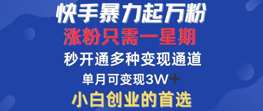 （12651期）快手暴力起万粉，涨粉只需一星期，多种变现模式，直接秒开万合，小白创…