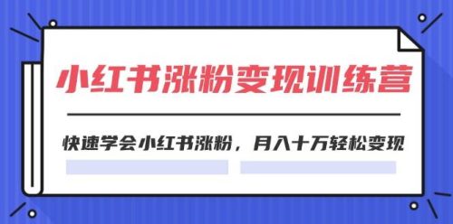 （11762期）2024小红书涨粉变现训练营，快速学会小红书涨粉，月入十万轻松变现(40节)